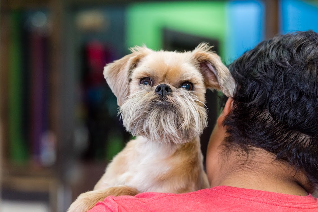 Mud Puppies | 12233 Ranch Rd 620 N #110A, Austin, TX 78750, USA | Phone: (512) 249-2498