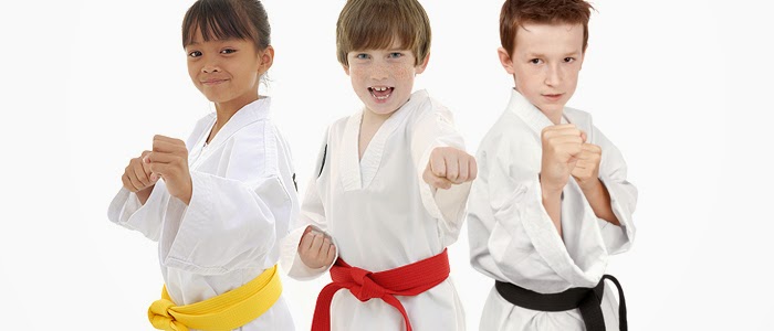 The Martial Arts Center | 3233 SE Maricamp Rd # 403, Ocala, FL 34471, USA | Phone: (352) 236-1111