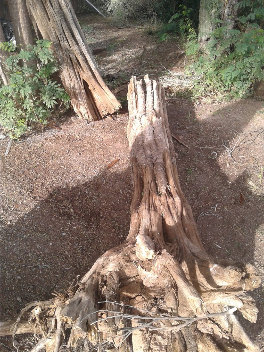 Sundowner | 105 N Delaware Dr, Apache Junction, AZ 85120, USA | Phone: (480) 982-2521