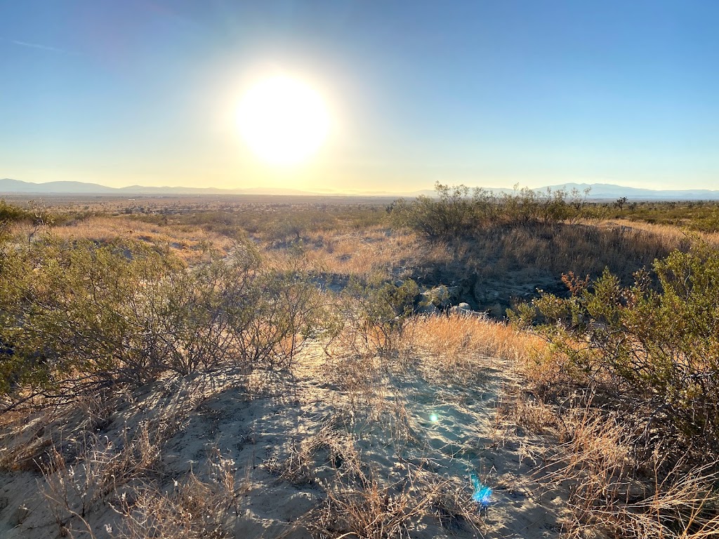 Saddleback Butte State Park Campground | 17201 E Ave K, Lancaster, CA 93535, USA | Phone: (661) 727-9899