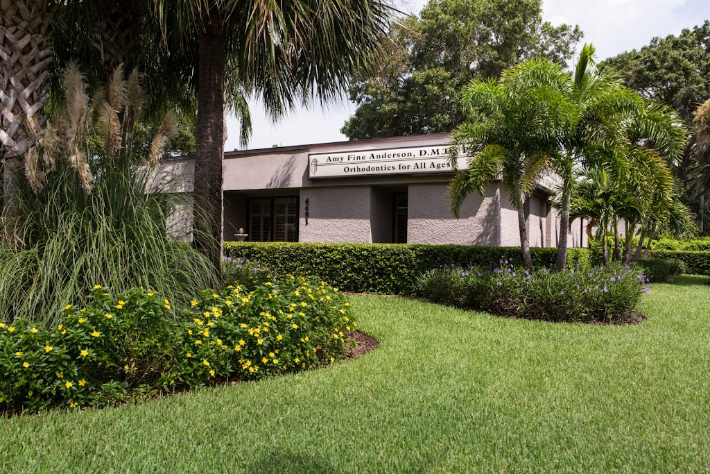 Amy Fine Anderson, DMD, PA | 6601 9th Ave N, St. Petersburg, FL 33710, USA | Phone: (727) 381-1240