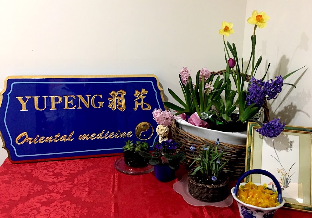 YUPENG Oriental Medicine | 270 Littleton Rd STE 5, Westford, MA 01886 | Phone: (978) 496-8265