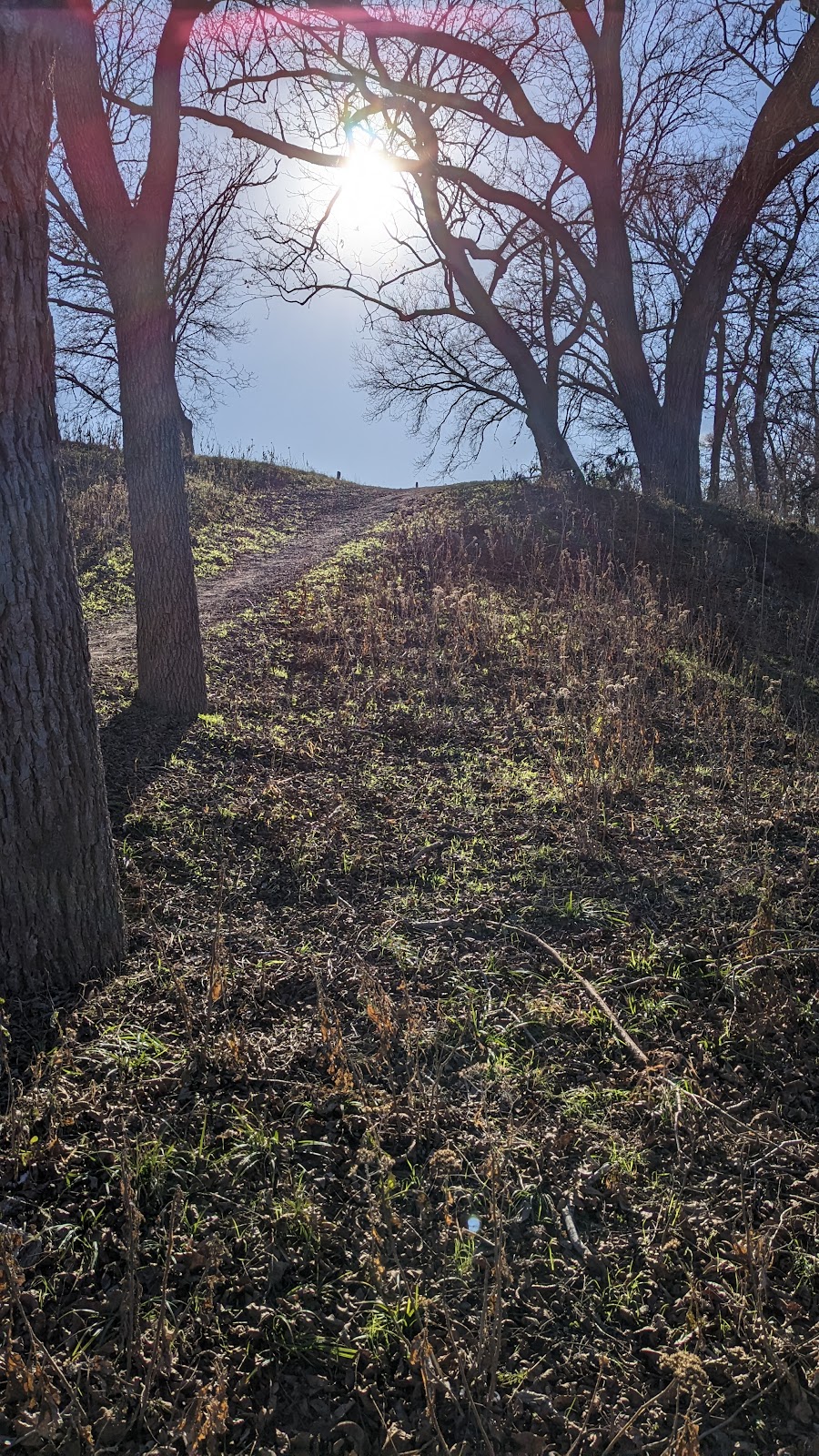 Kreutzberg Canyon Natural Area | 143 Mark Twain Dr, Boerne, TX 78006, USA | Phone: (830) 537-3470