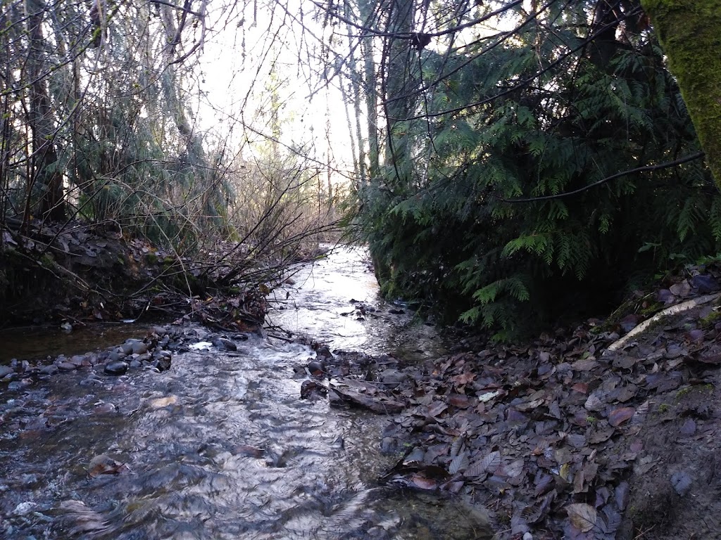 Silver Creek Riparian Zone | 1043 12th Ave SW, Puyallup, WA 98371, USA | Phone: (253) 841-4321