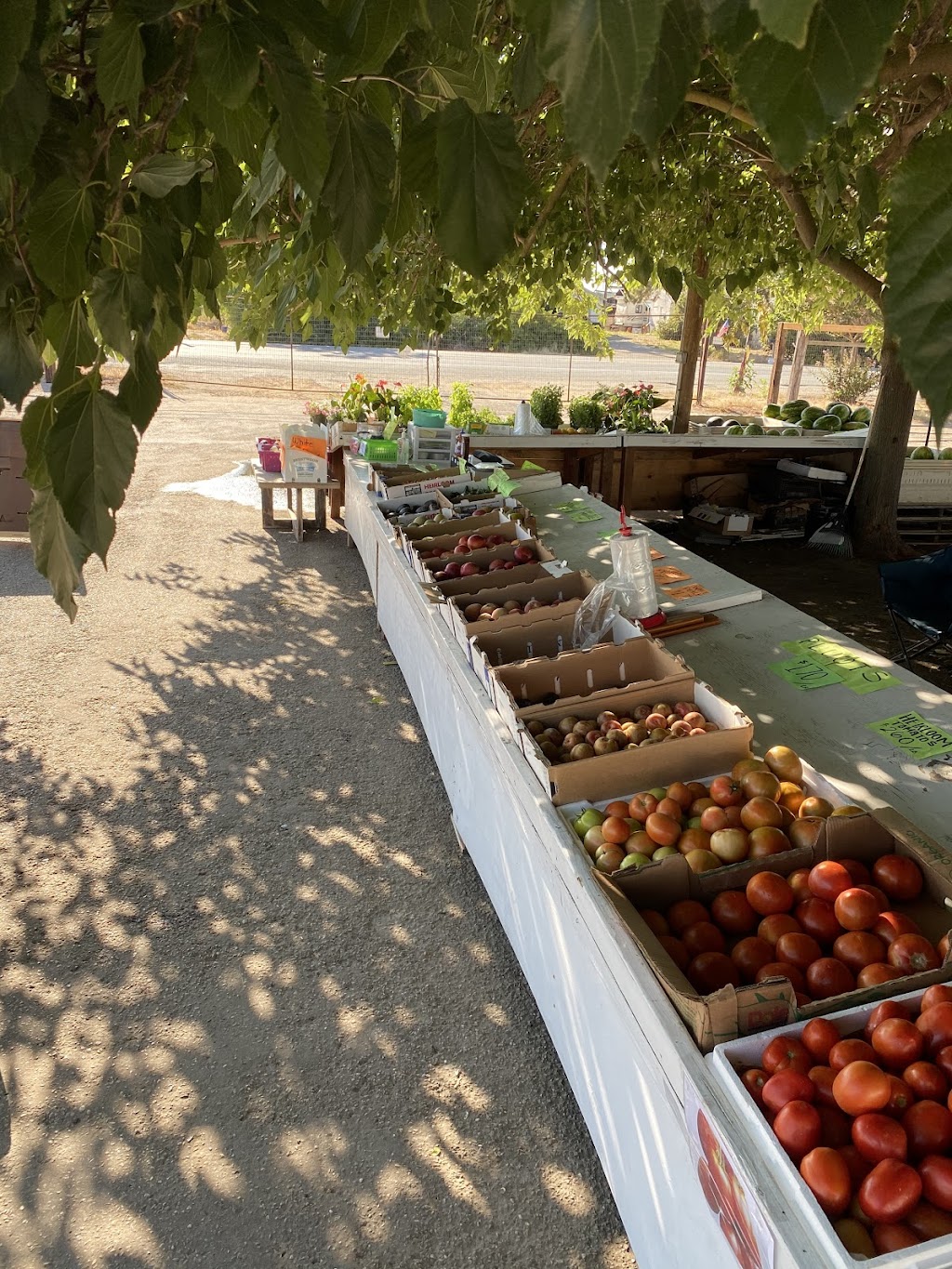 Big Tree Fruit Stand | 17725-, 17877 CA-88, Lockeford, CA 95237, USA | Phone: (209) 663-2661