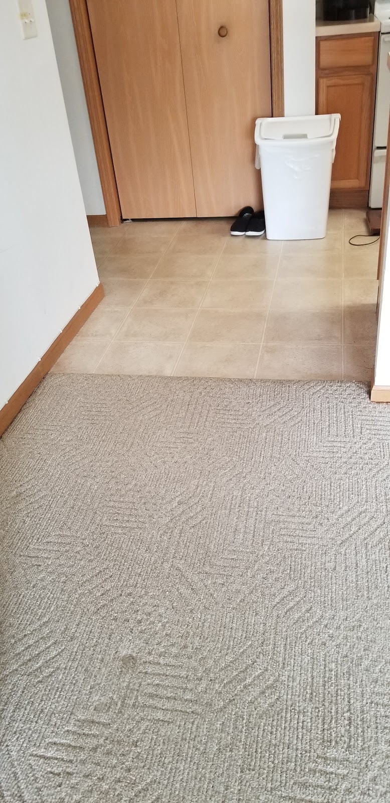 Helping Hands Carpet Cleaning | 619 Prairie View Dr, Evansville, WI 53536, USA | Phone: (608) 576-5631