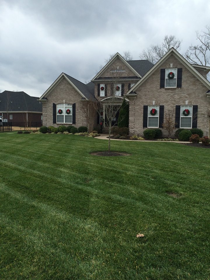 Advanced Lawn Solutions | 6522 Forrest Ln, Murfreesboro, TN 37129, USA | Phone: (615) 223-5537