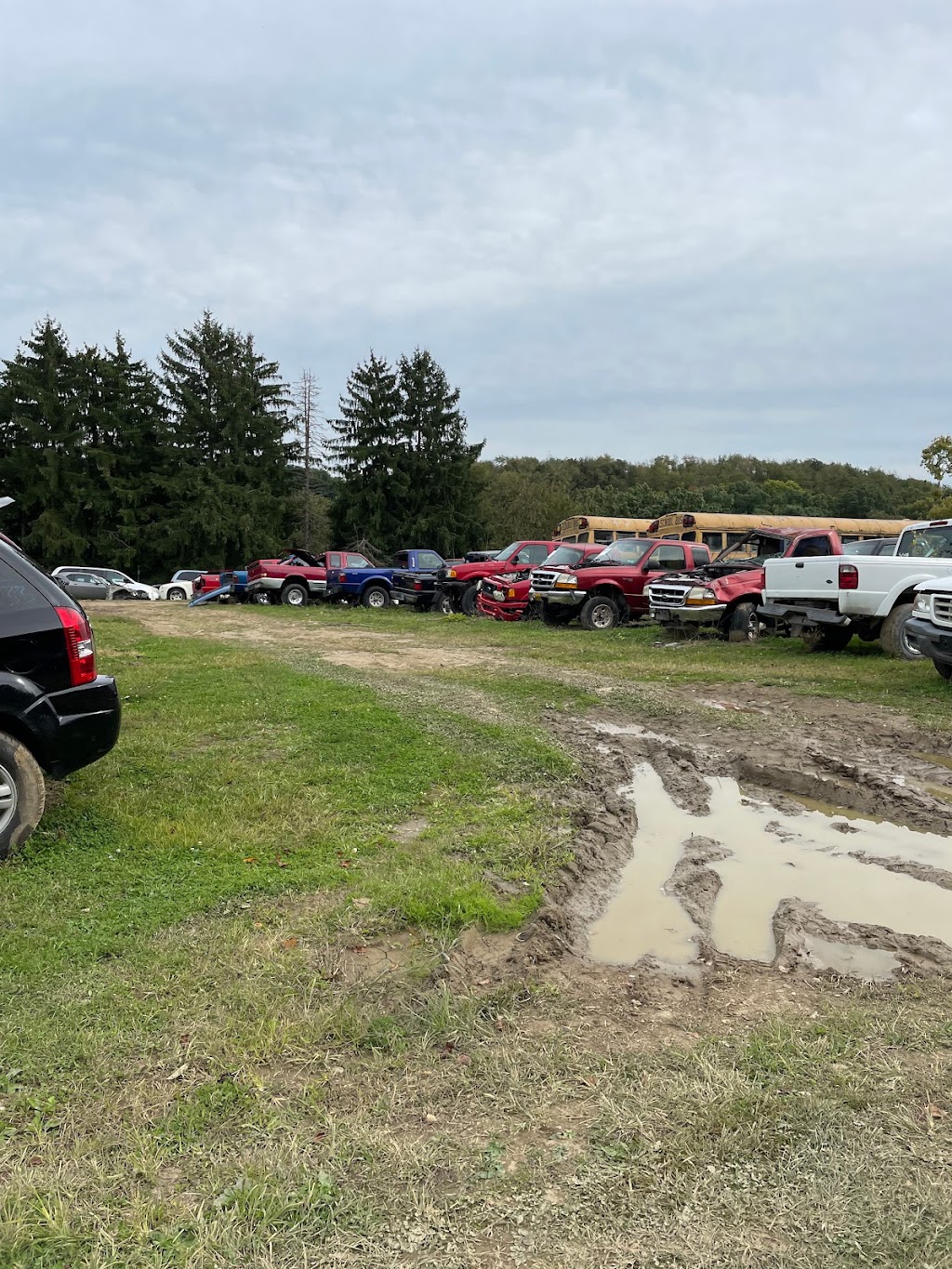 Dons Auto Salvage | 6051 Tuscarawas Rd, Beaver, PA 15009, USA | Phone: (724) 495-3395