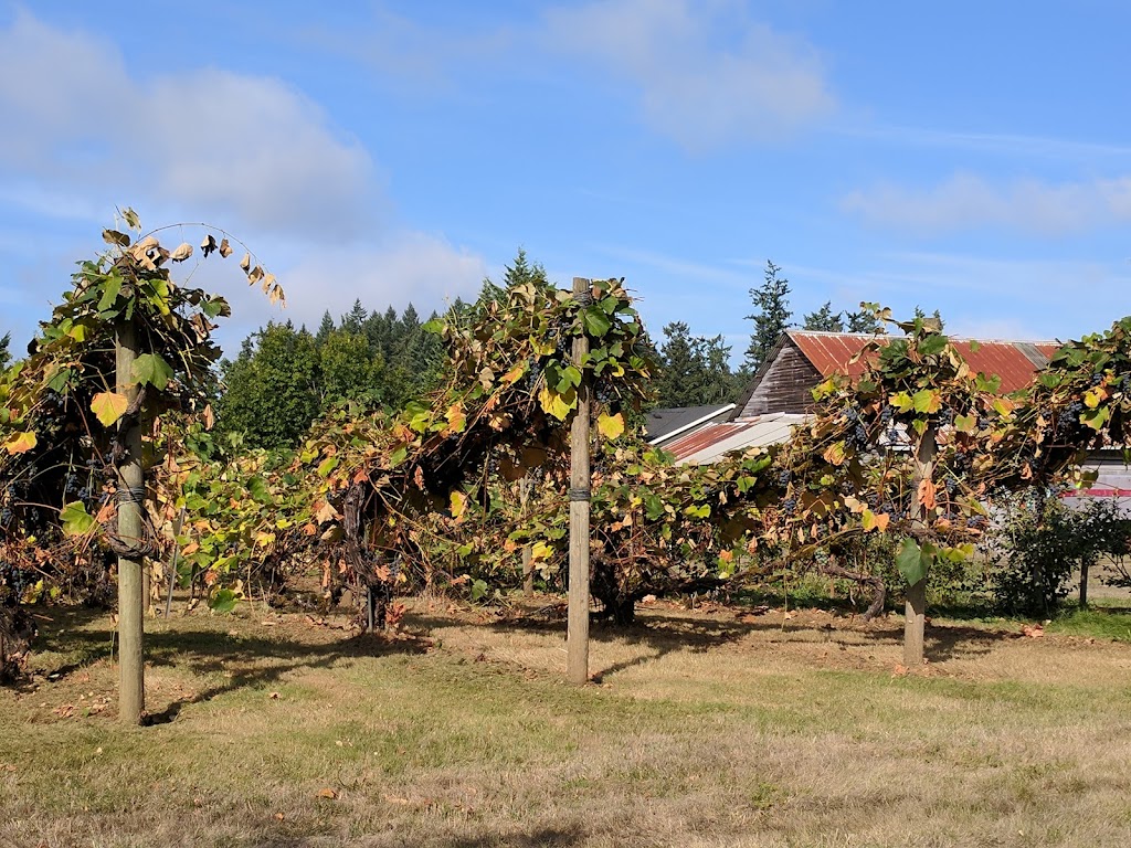 Alderbrook Townhomes Tot Lot | 616 NW Brookhill Ln, Hillsboro, OR 97124, USA | Phone: (503) 629-0111