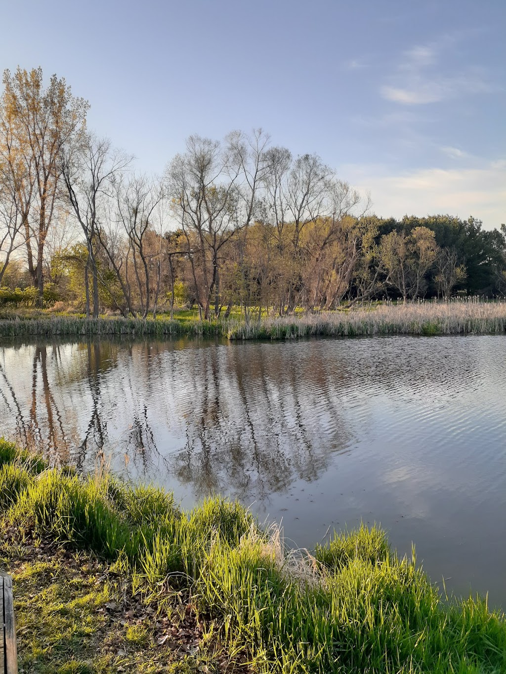 Pickerington Ponds Metro Park | 7680 Wright Rd, Canal Winchester, OH 43110, USA | Phone: (614) 208-4329