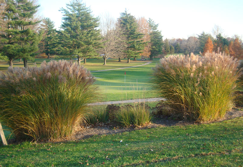 Forest Hills Golf Course | 41971 Oberlin Elyria Rd, Elyria, OH 44035 | Phone: (440) 323-2632