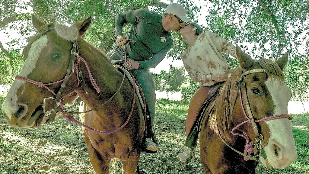 Vin Hesten Trail Rides | 41529 De Portola Rd, Temecula, CA 92592, USA | Phone: (951) 595-7802