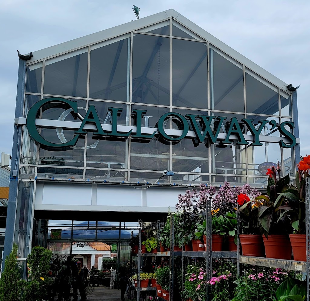 Calloways Nursery | 4050 Eldorado Pkwy, McKinney, TX 75070, USA | Phone: (972) 540-0707