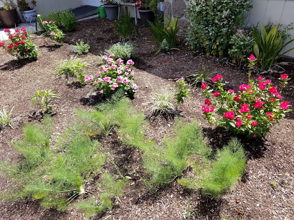 Organic Raised Garden Beds & Compost Supply | Cody St, New Port Richey, FL 34655, USA | Phone: (727) 645-5289