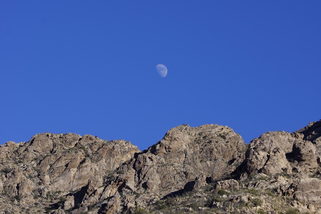 Coyote Mountains Wilderness Area | Tucson, AZ 85735, USA | Phone: (520) 258-7200