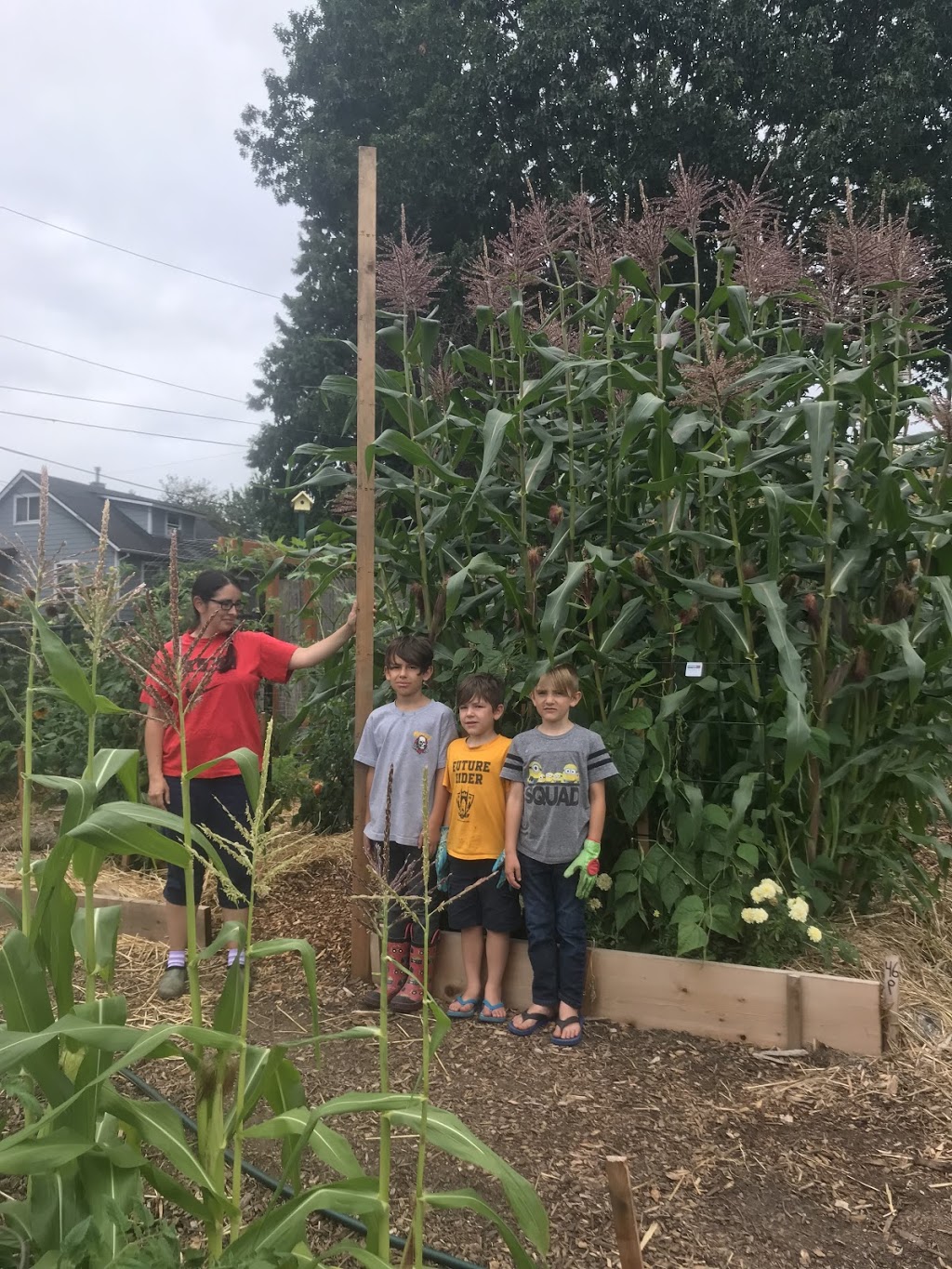 Pier Community Garden | 10198 N Iris Way, Portland, OR 97203, USA | Phone: (503) 823-1612