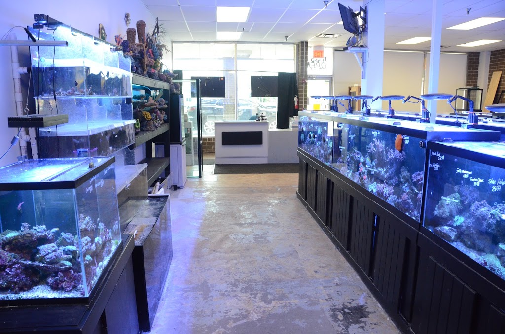 Robs Aquatics | 17135 S Harlem Ave, Tinley Park, IL 60477, USA | Phone: (708) 444-7627