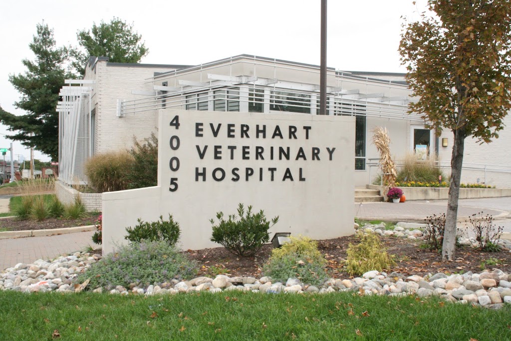 Everhart Veterinary Medicine | 4005 Ritchie Hwy, Baltimore, MD 21225, USA | Phone: (410) 355-3131