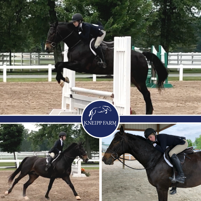 Kneipp Farm: Horse Riding Lessons & Boarding | Xd, 6743 Ragland Rd, Cincinnati, OH 45244, USA | Phone: (513) 374-9028