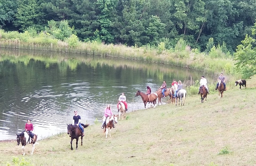 Pure Horse Play Adventures | 1493 King Mill Rd, McDonough, GA 30252, USA | Phone: (678) 551-5131