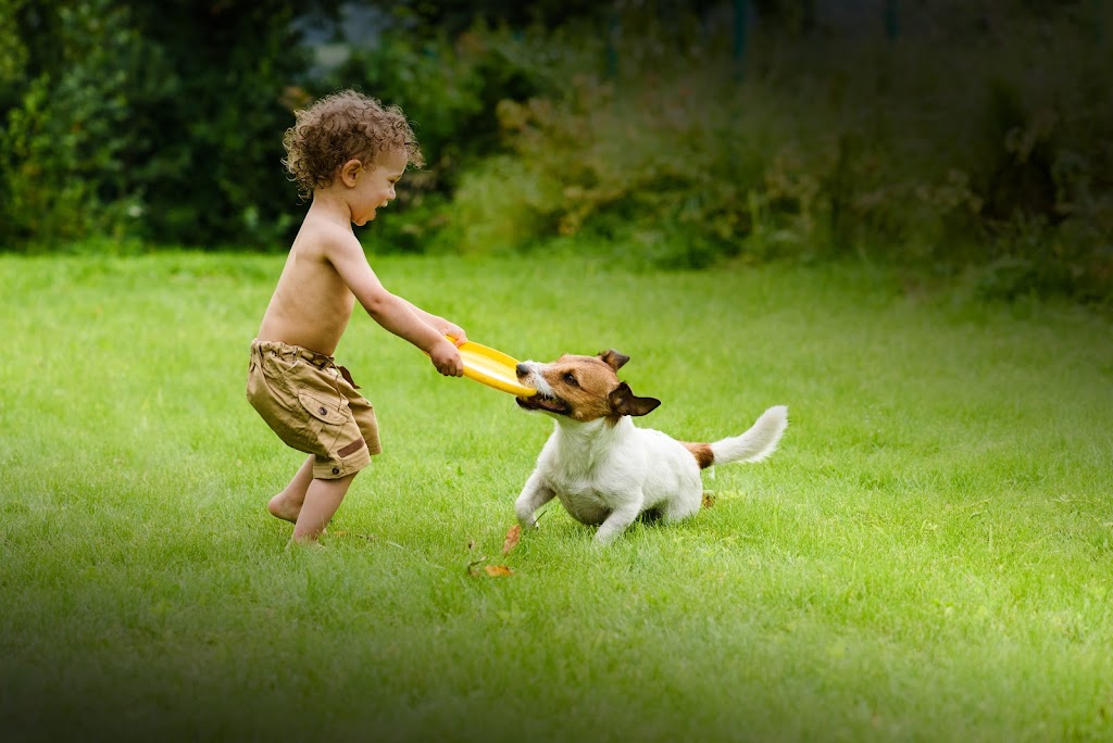 Good Nature Organic Lawn Care Cleveland | 7621 Old Rockside Rd, Cleveland, OH 44131 | Phone: (216) 641-9800