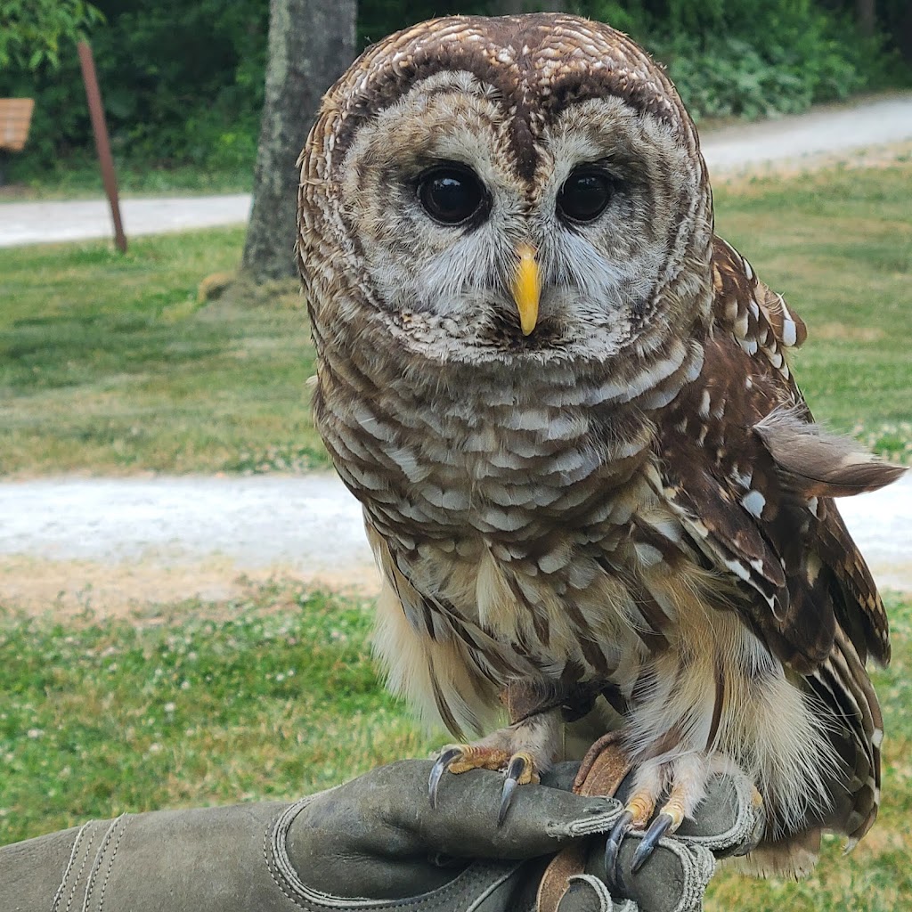 Wildlife Conservation Center | 800 Genoa Ave NW, Massillon, OH 44646, USA | Phone: (330) 477-0448