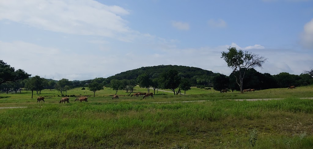 Fossil Rim Safari Campground | Unnamed Road,, Glen Rose, TX 76043, USA | Phone: (254) 897-2960