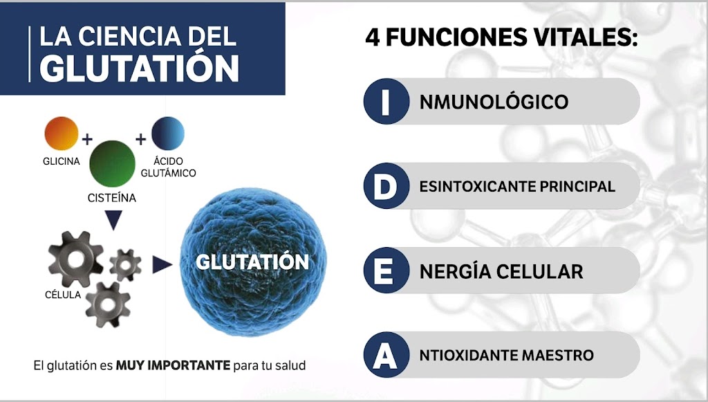 independent consultant at Immunotec se habla español | 20475 IL-22, Kildeer, IL 60047, USA | Phone: (847) 858-8817