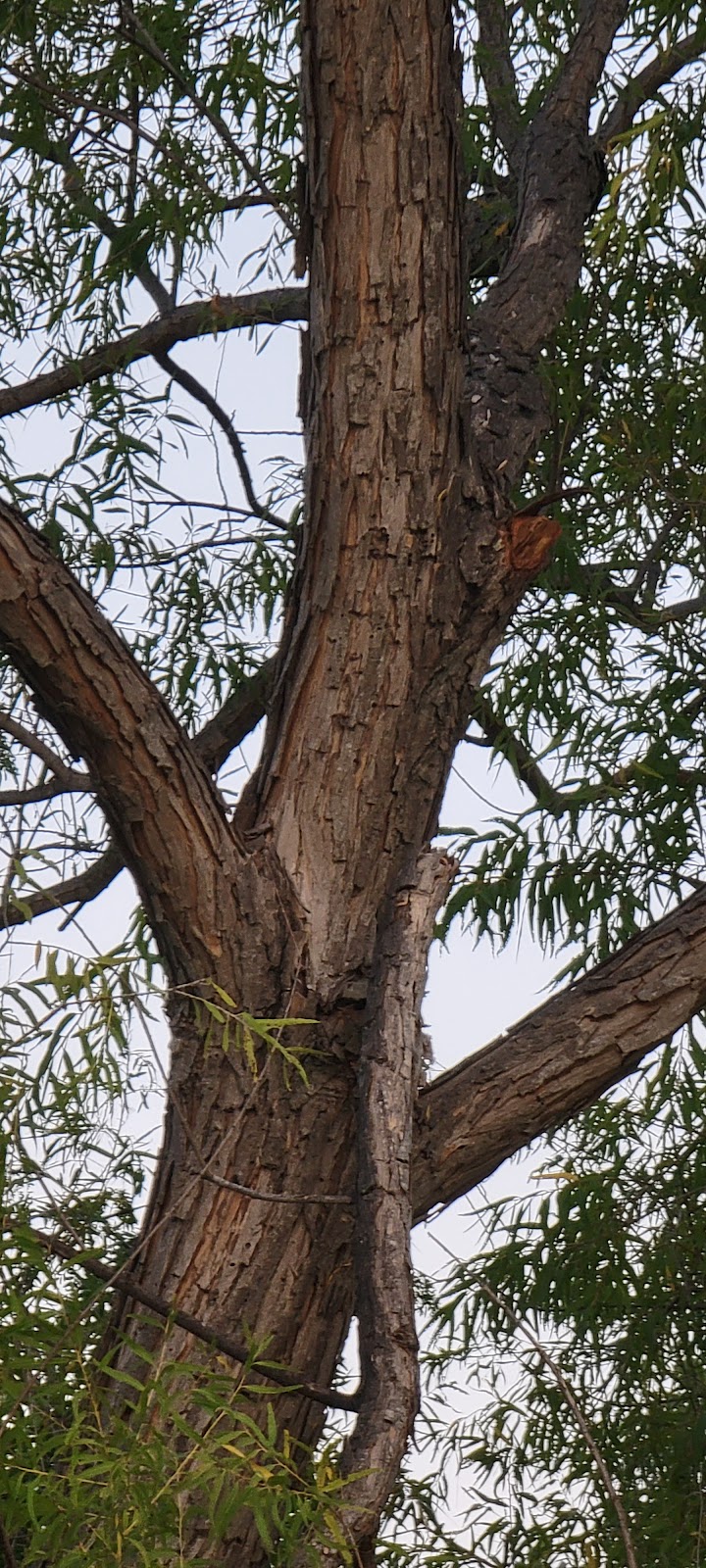 Sunset Point Park | 400 N Edgewater Dr, Highland Village, TX 75077, USA | Phone: (972) 317-7430