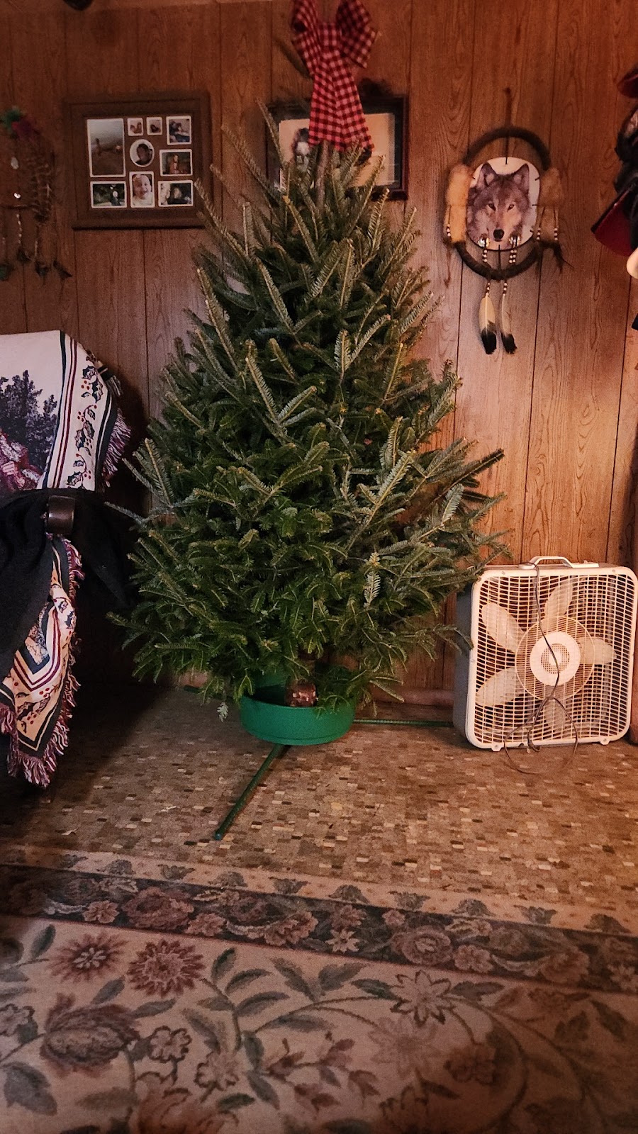 Pines & Needles Christmas Tree Farm | 12343 Winchester Rd, Ashville, OH 43103, USA | Phone: (740) 777-0983