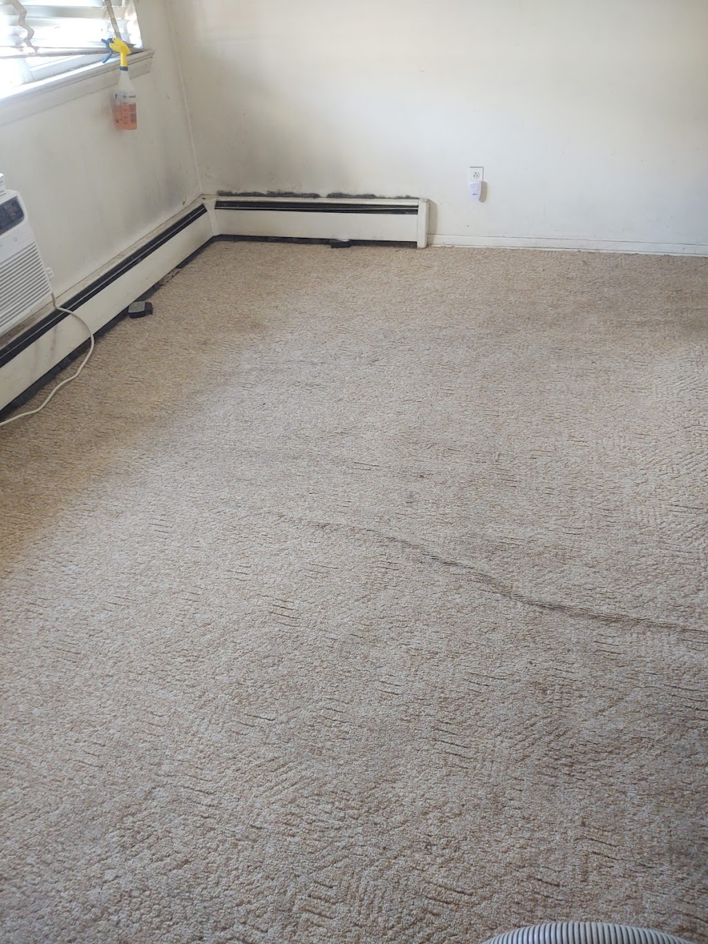 Als Carpet and Upholstery Cleaning | 46 Harrison Ave, West Orange, NJ 07052, USA | Phone: (973) 669-5588