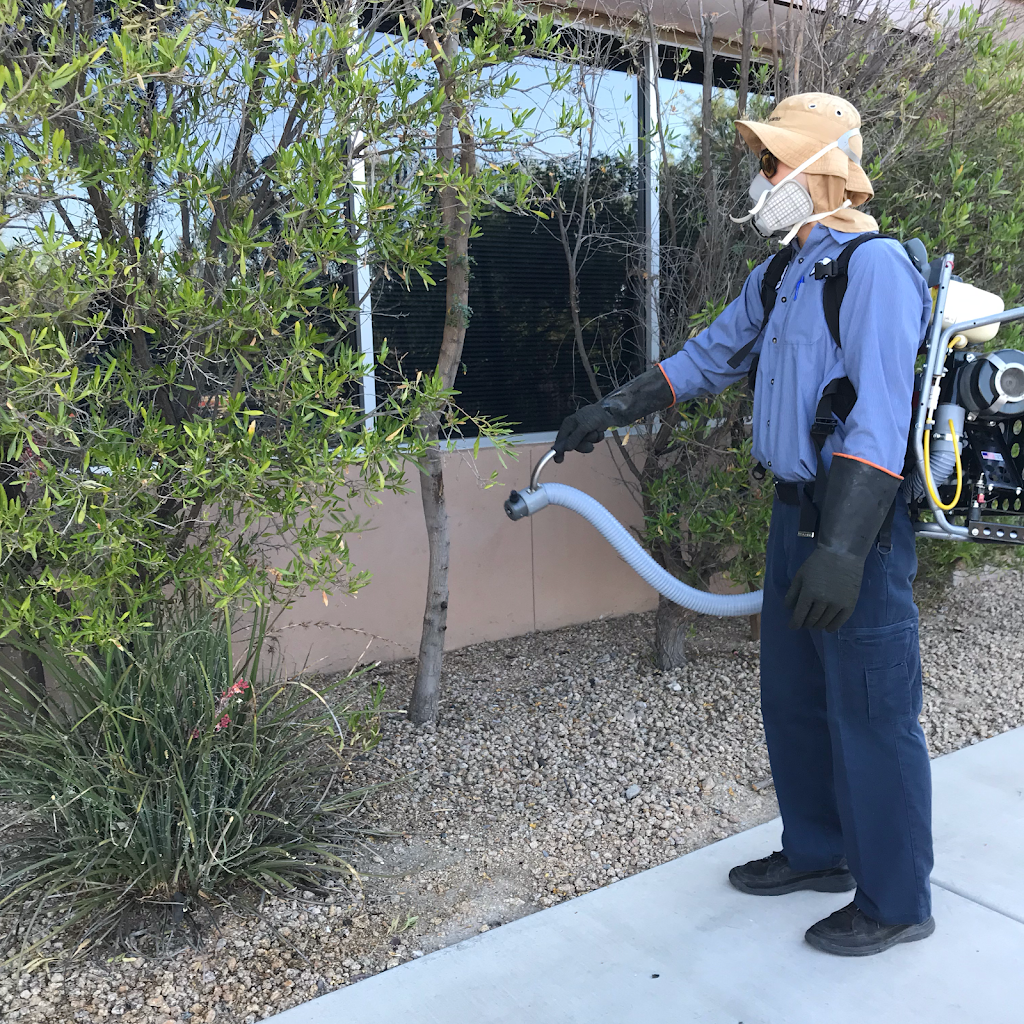 City Wide Pest Control | 22405 N 18th Dr, Phoenix, AZ 85027, USA | Phone: (602) 944-0099