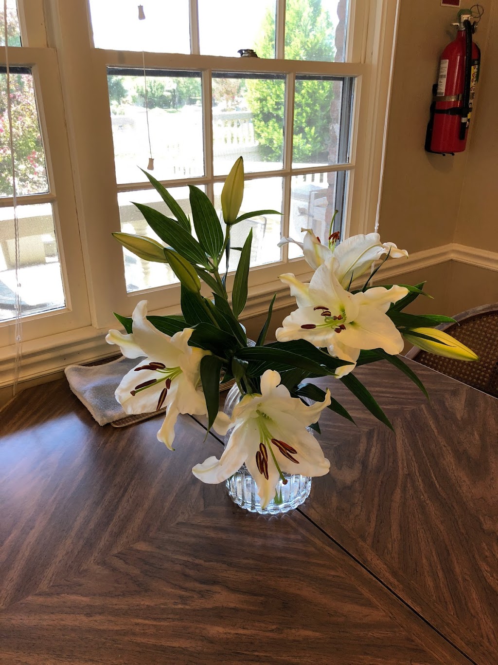 Care Home By RNs | 1408 Alder Creek Ct, Lincoln, CA 95648, USA | Phone: (916) 408-7199