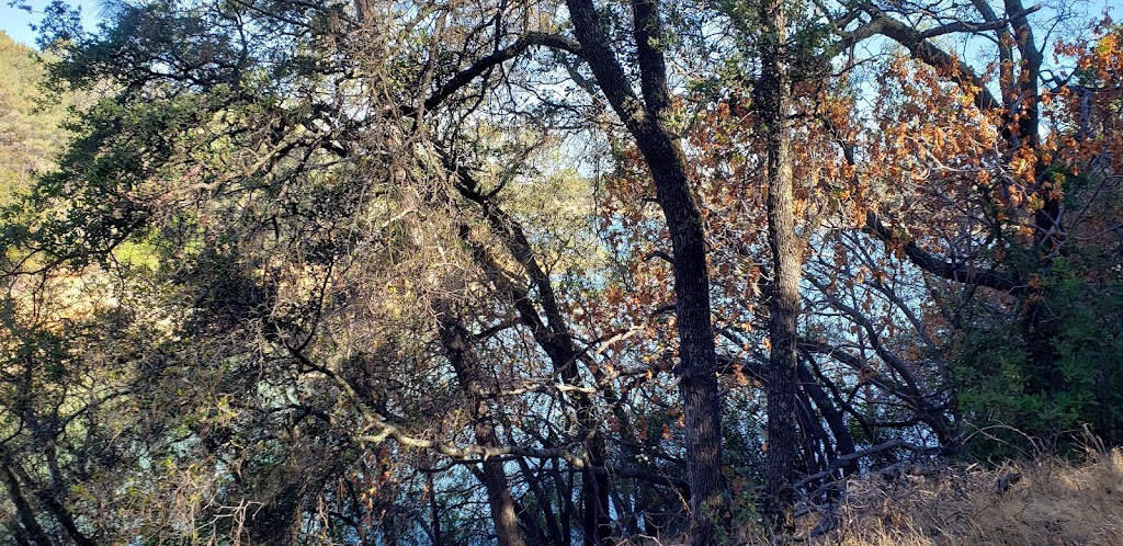 Trailhead to Browns Ravine | 1992 Vista Mar Dr, El Dorado Hills, CA 95762, USA | Phone: (800) 777-0369