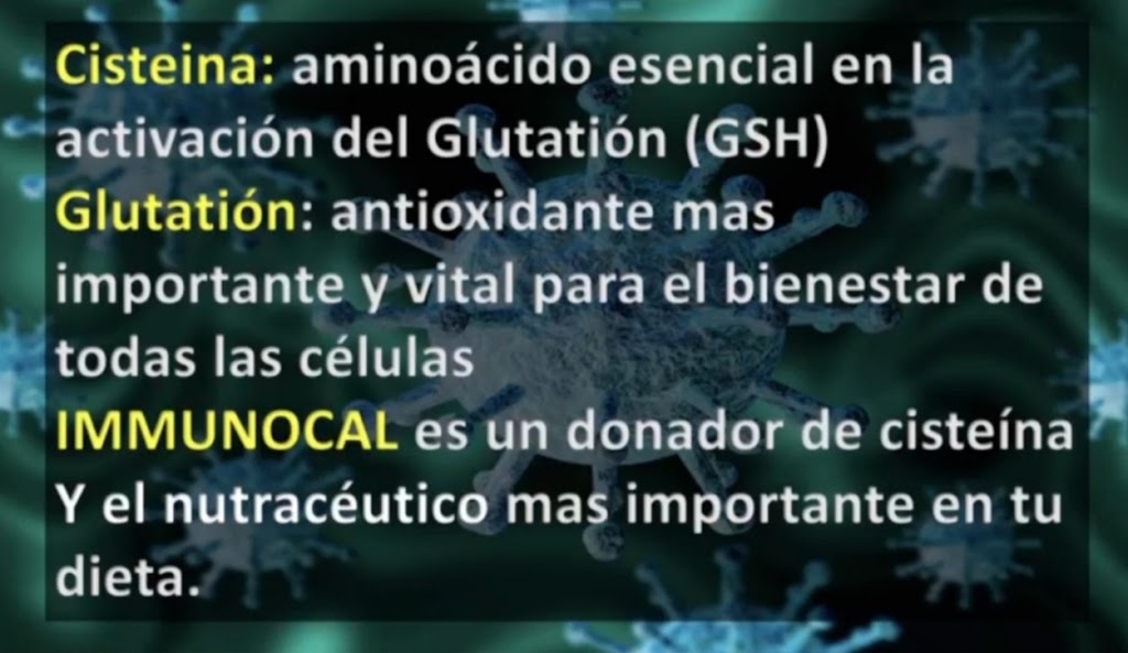 independent consultant at Immunotec se habla español | 20475 IL-22, Kildeer, IL 60047, USA | Phone: (847) 858-8817