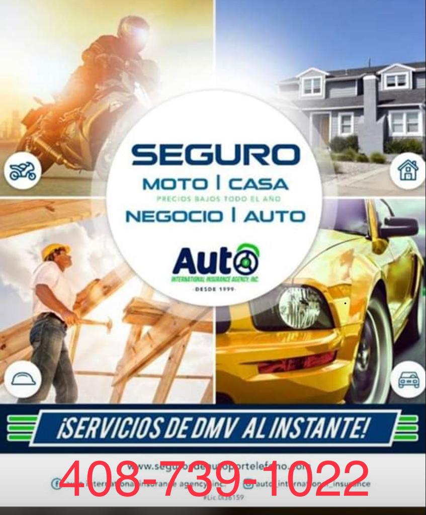 Seguros De Carros - Taxes - Registration service | 883 Borregas Ave ste 105, Sunnyvale, CA 94085, USA | Phone: (408) 739-1022