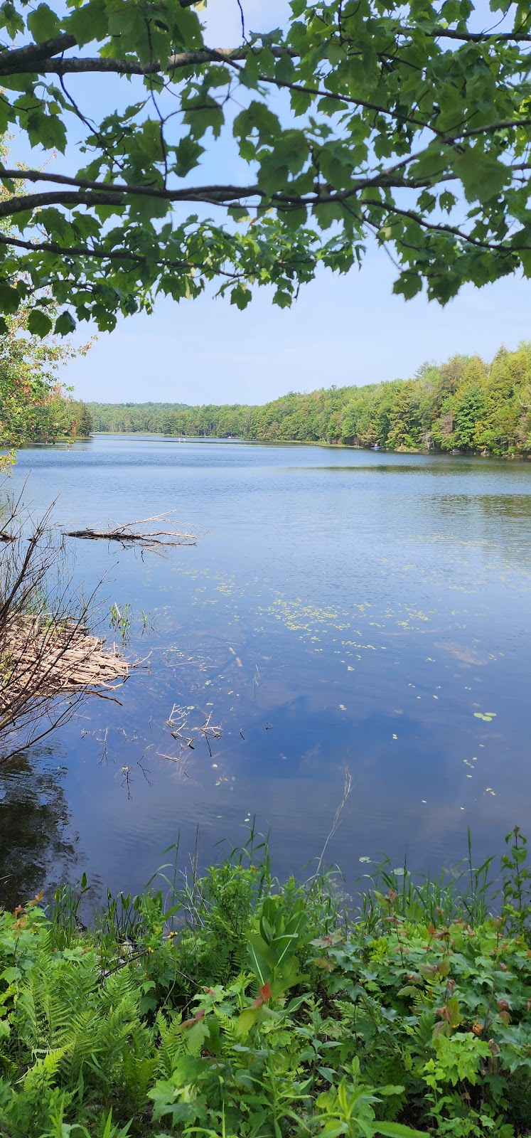 Aqueduct Boat Launch -Schoharie Crossing | Hartley Ln, Glen, NY 12072, USA | Phone: (518) 829-7516