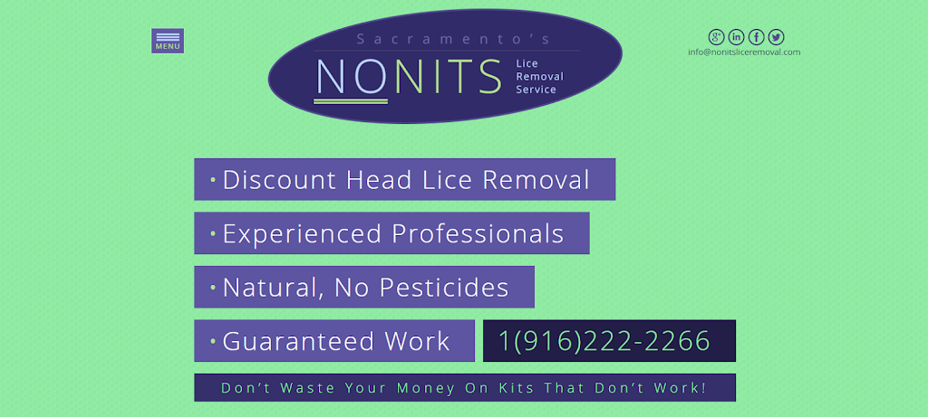 Sacramento’s No Nits Lice Removal | 100 Cantabrook St, Sacramento, CA 95828, USA | Phone: (916) 222-2210