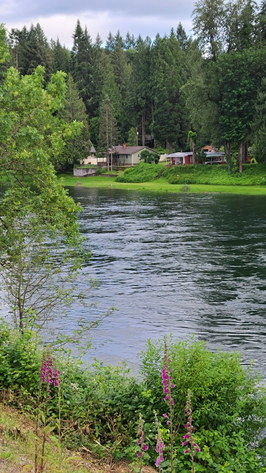 Lewis River Golf Course | 3209 Old Lewis River Rd, Woodland, WA 98674, USA | Phone: (360) 225-8254