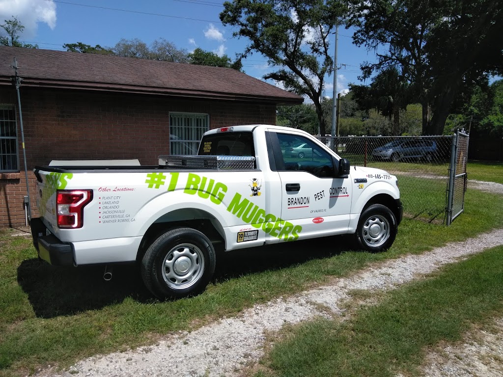 Brandon Pest Control, Inc. | 108 S St Cloud Ave, Valrico, FL 33594, USA | Phone: (813) 685-7711