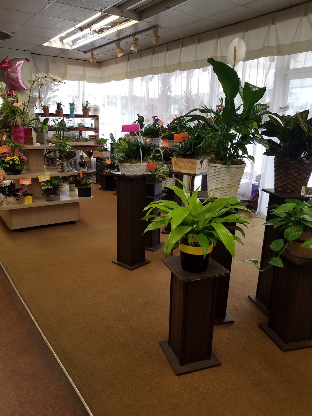 Vissers Florist & Greenhouses | 701 W Lincoln Ave, Anaheim, CA 92805, USA | Phone: (714) 772-9900