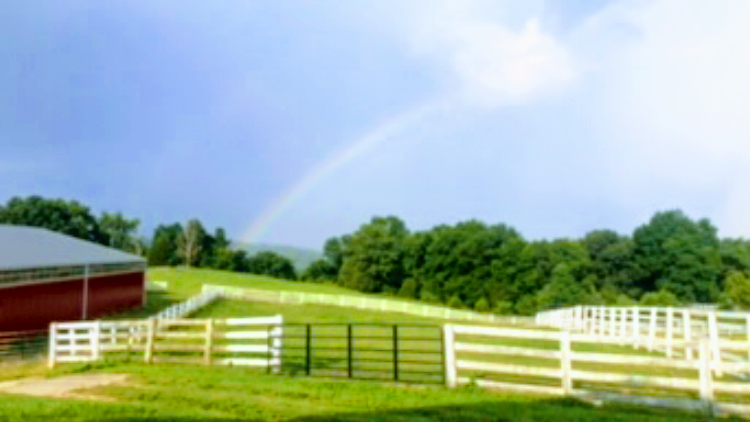 Licorice Ridge Farm | 500 Drowning Creek Rd, Waco, KY 40385, USA | Phone: (617) 240-6031