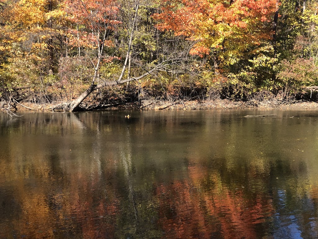 Dodge Park | 13498 Strong Blvd, South Rockwood, MI 48179, USA | Phone: (734) 379-3683