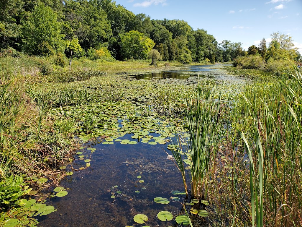 Dodge #4 State Park | 4250 Parkway St, Waterford Twp, MI 48328 | Phone: (248) 682-7323