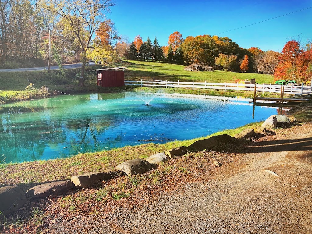 Shadow Hills Farm | 1546 Mahaffy Rd, Fort Edward, NY 12828, USA | Phone: (518) 232-7004