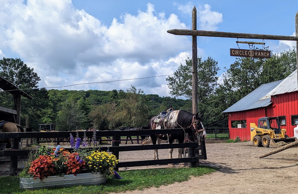 Circle B Ranch | 771 Potter Brook Rd, Chestertown, NY 12817, USA | Phone: (518) 494-4888