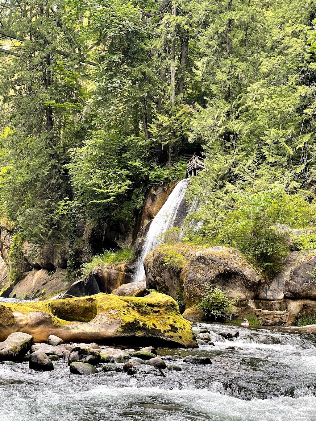 Green River Gorge Resort | 29500 SE Green River Gorge Rd, Enumclaw, WA 98022, USA | Phone: (360) 886-7997