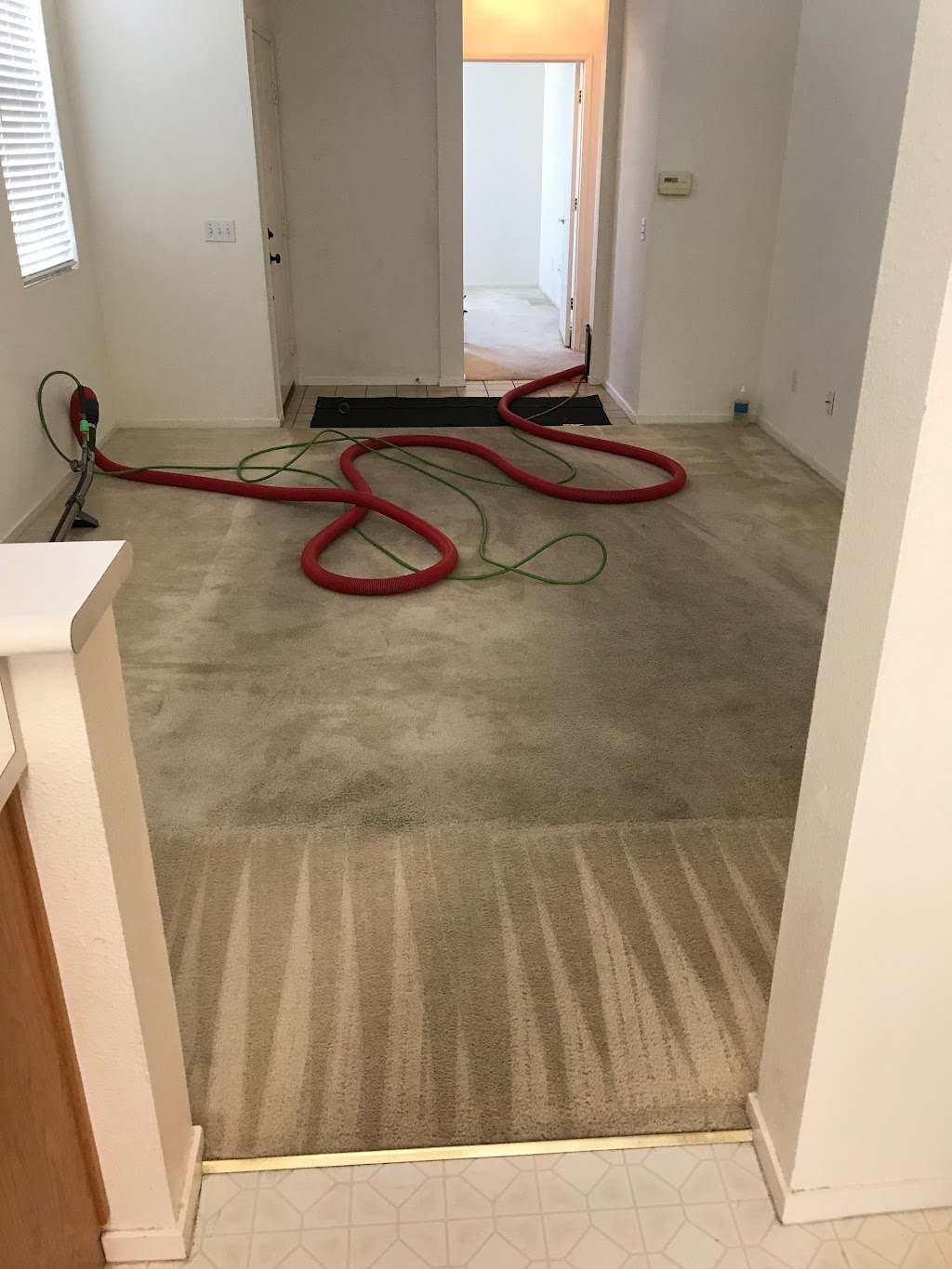 Dependable Carpet Cleaning | 10 Terri Ct, Oakley, CA 94561, USA | Phone: (925) 516-0911