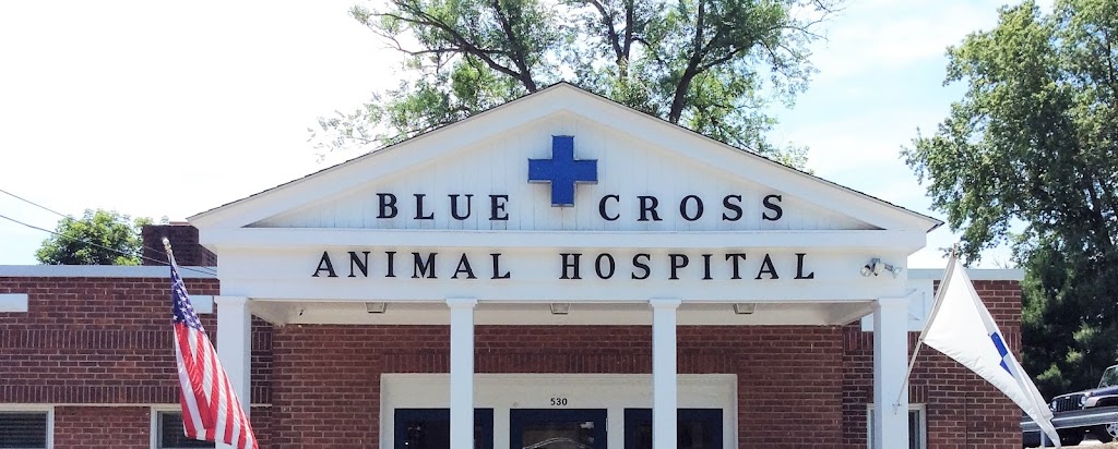 Blue Cross Animal Hospital | 530 E Putnam Ave, Greenwich, CT 06830, USA | Phone: (203) 869-7755