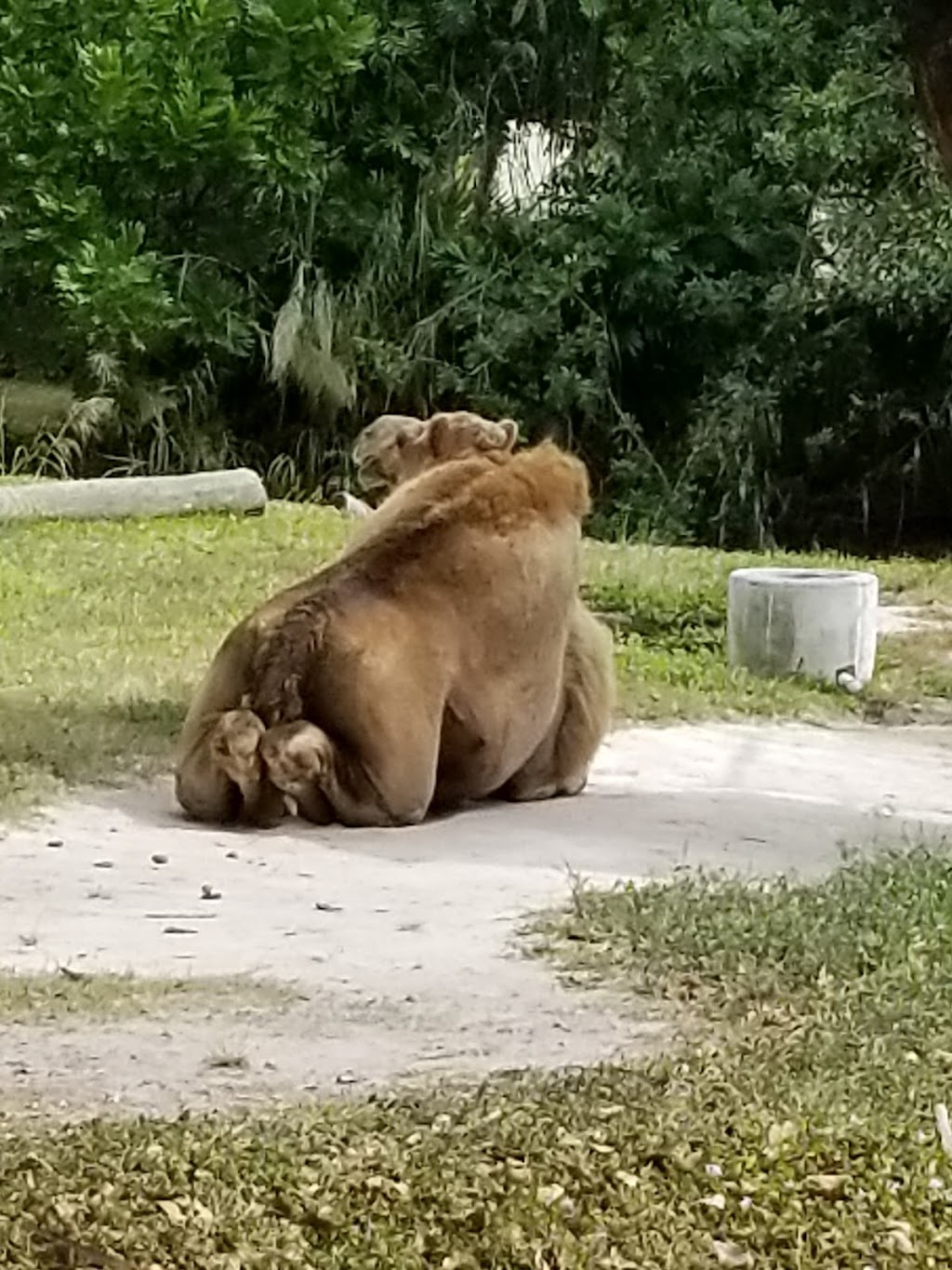 Larry and Penny Thompson Memorial Park and Campground | 12451 SW 184th St, Miami, FL 33177 | Phone: (305) 232-1049